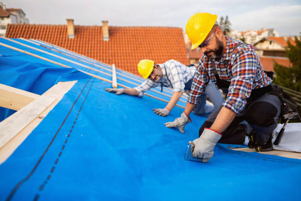 Best Flat Roof Repair Services  in Edisto, SC