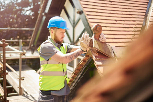 Best Metal Roofing Contractor  in Edisto, SC